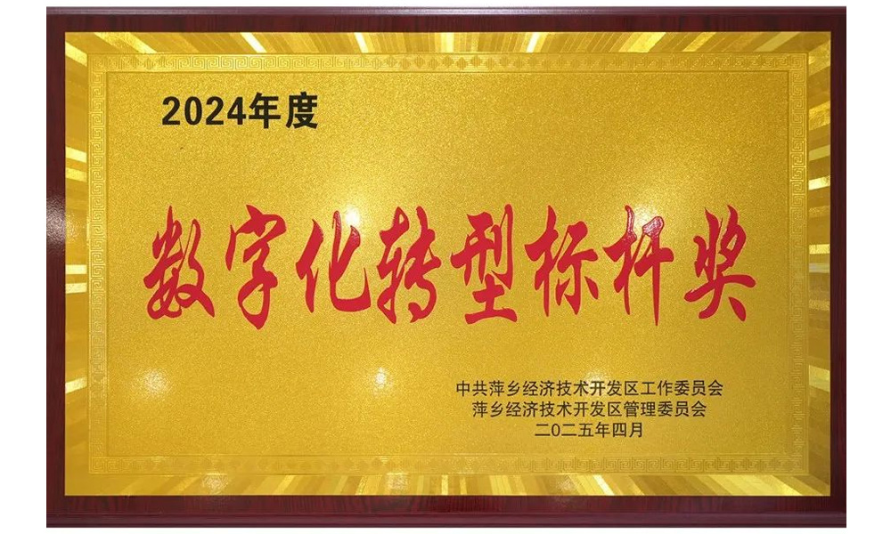 2024年度數(shù)字化轉型標桿獎